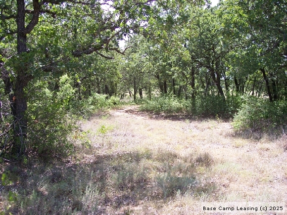 Erath County Texas Hunting Lease - Property #8240 | Base Camp Leasing