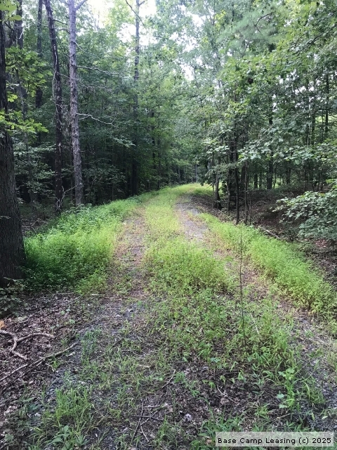 Person County North Carolina Hunting Lease - Property #8316 | Base Camp ...