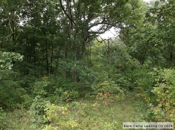 Randolph County Missouri Hunting Lease - Property #8368 | Base Camp Leasing