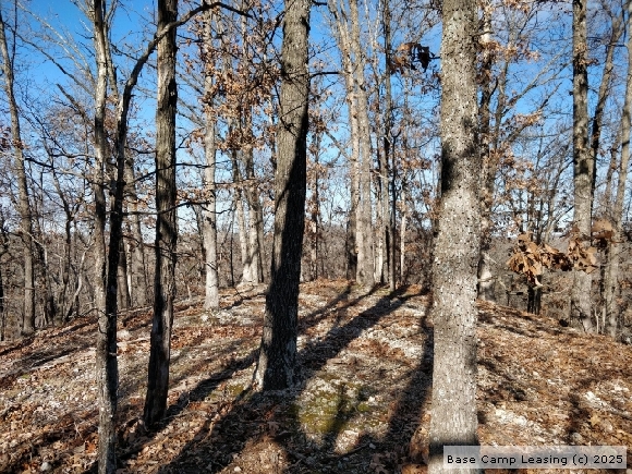 Morgan County Missouri Hunting Lease - Property #8471 | Base Camp Leasing