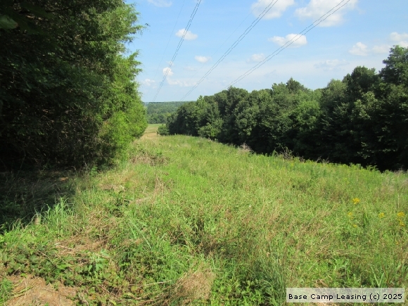 butler county property search by owner