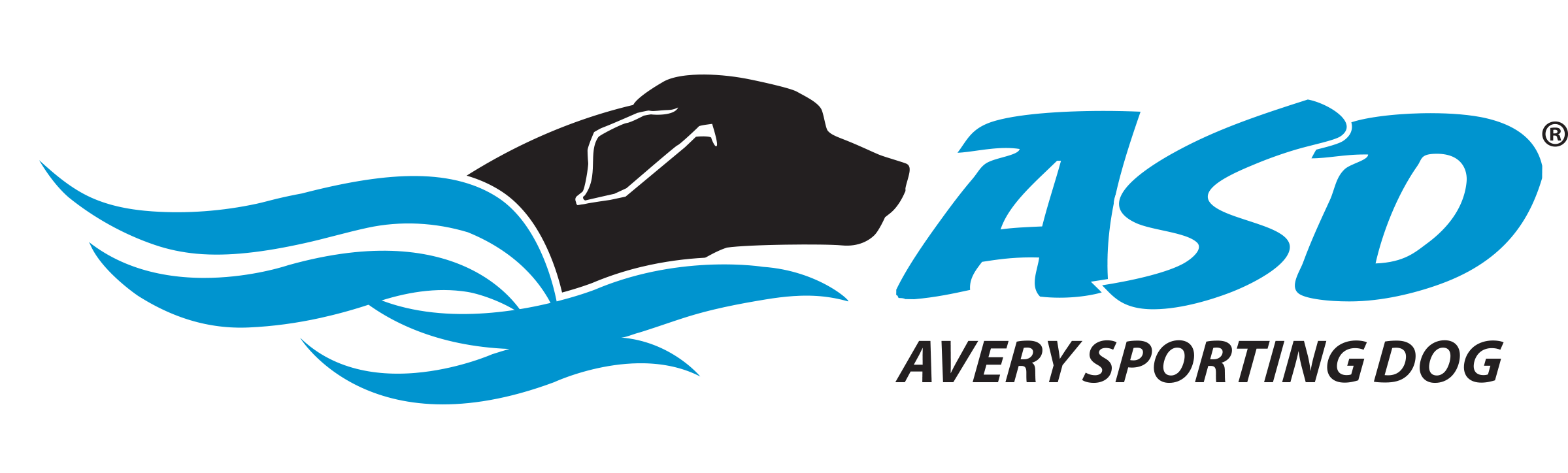 Avery Sporting Dog